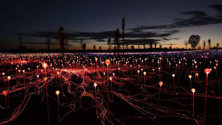 Field of Light Uluru